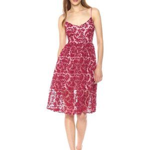 BB Dakota Women's Candler Two Tone Velvet Lace Midi Dress